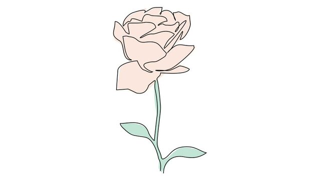 Animated self drawing of single continuous line draw for a beautiful flower on a white background. flower design in simple linear style. Plant design concept animation. full length animation