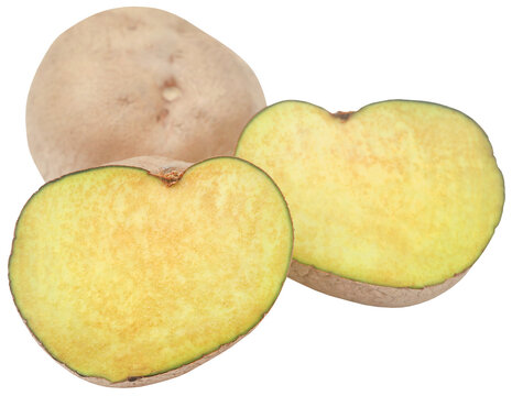 Dioscorea bulbifera or Air potato