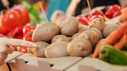 Local stand holder selling homegrown potatoes on counter at farmers market shop, customer looking...