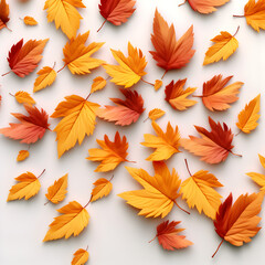 Fototapeta na wymiar Yellow-orange autumn tree leaves on a white background. Maple leaves, autumn composition. Generative AI
