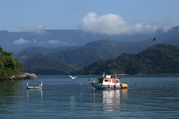 Uma cena apaixonante na Baía de Paraty, onde uma traineira de pesca é graciosamente sobrevoada por aves marinhas. Entitulada Patrimônio Mundial pela UNESCO, oferece um cenário de tirar o fôlego. - obrazy, fototapety, plakaty