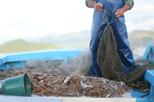 Aysén impulsa acuicultura, pesca artesanal, turismo y logística con nuevo plan regional – mundoacuicola