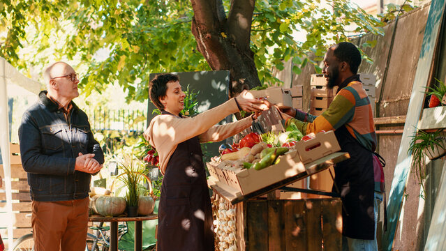 Team of diverse vendors giving box filled with organic fruits and vegetables to clients, selling homegrown bio produce at local market stand. Business owners helping customers with products.