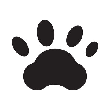 tiger footprint icon vector design template