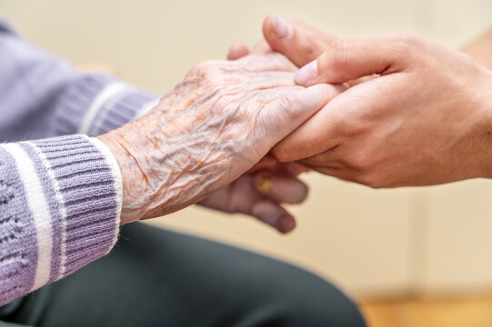 Helping hands, care for the elderly concept. High quality photo
