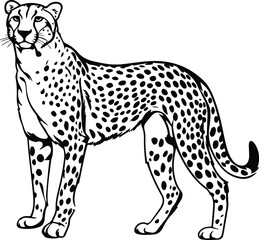 Cheetah Logo Monochrome Design Style