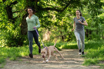 Naklejka na ściany i meble Two girls joyfully jog outdoors, accompanied by their loyal dog, as they embrace the refreshing nature and stay active, creating memorable moments of fitness and companionship.