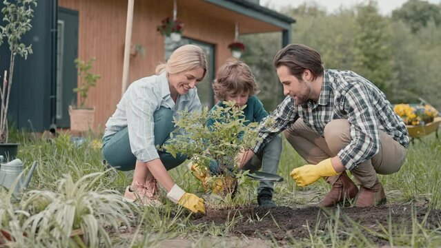 Handsome Caucasian man with his lovely wife and their son planting family tree in garden. Teaching their kid taking care about plants. Resting together with nature. Concept of relationship.