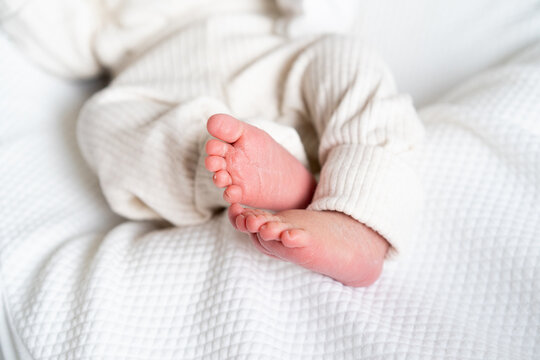 cute photo with the legs of a newborn baby. Soft light background. a place for your text. The concept of child care, motherhood and medicine