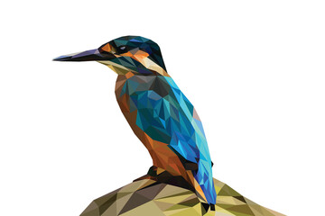 bird blue colors type safari Africa background white 