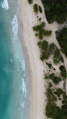 Playa Rincon, Samana, the beach in Dominican Republic. Aerial drone photo.