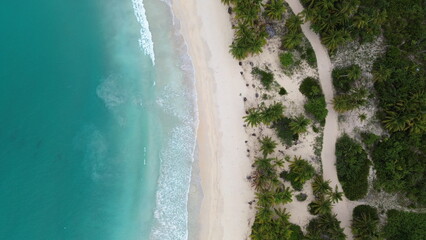 Playa Rincon, Samana, the beach in Dominican Republic. Aerial drone photo.