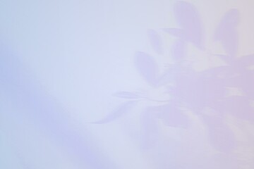 blurred foliage shadow.