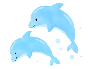 イルカショーの水彩風手描きイラスト