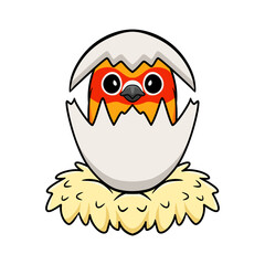 Cute yellow and green parrot lovebird cartoon inside from egg