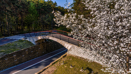 Bridge-Jingyuetan National Forest Park, Changchun, China in spring