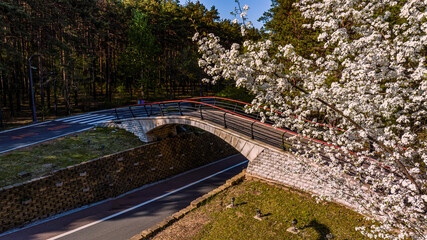 Bridge-Jingyuetan National Forest Park, Changchun, China in spring