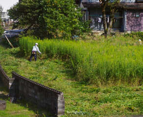 耕作放棄地の草刈りをする高齢者