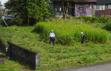 耕作放棄地の草刈りをする高齢者