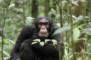 Meet the animal world &ndash; stunning photos of furry, feathery, and scaly friends you&rsquo;ll love.
