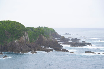 Fototapeta premium 和歌山県 南紀串本の観光地 〖海金剛〗