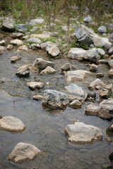 Small stones scattered in the outdoor stream