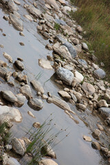 Gravel Stream Flowing Water in wild