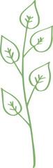 botanical line art