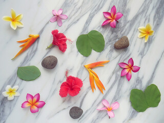 Creative layout made of flowers and leaves