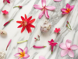 Obraz na płótnie Canvas Banner or wallpaper with spa flowers, zen stones, shells isolated on a white marble.