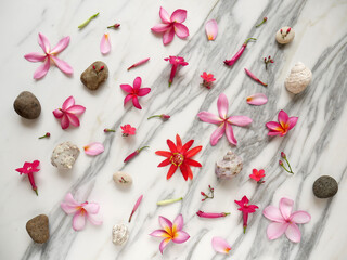 Banner or wallpaper with spa flowers, zen stones, shells isolated on a white marble.