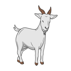 illustration of goat in white backgrund for eid al adha mubarak.