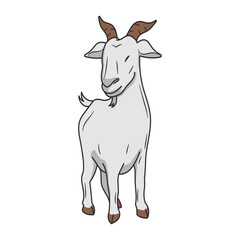 illustration of goat in white backgrund for eid al adha mubarak.