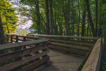 Wooden walkways through New River Gorge National Park!