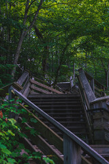 Wooden walkways through New River Gorge National Park!