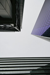 windows of a modern building