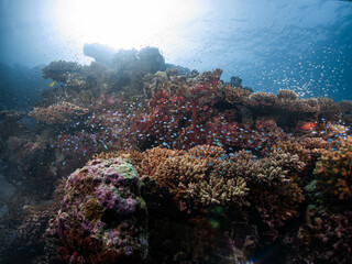 sun light sent down to sea