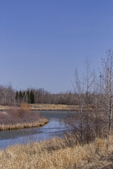Pylypow Wetlands in the Spring
