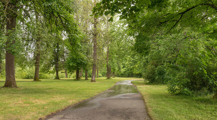 Fototapeta na wymiar Spring green growth in a public park Oregon.