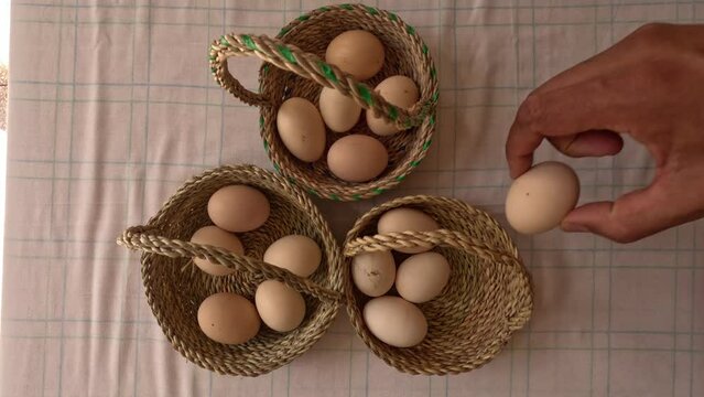 The concept behind "Don't put all your eggs in one basket" emphasizes the importance of diversification, risk management, and considering alternatives. It advises against relying solely on one option.