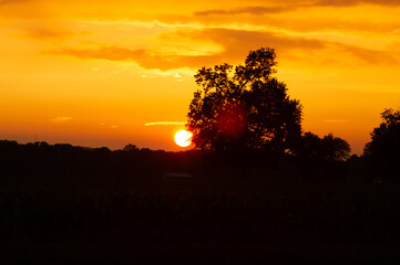 Fototapeta na wymiar sunset with tree
