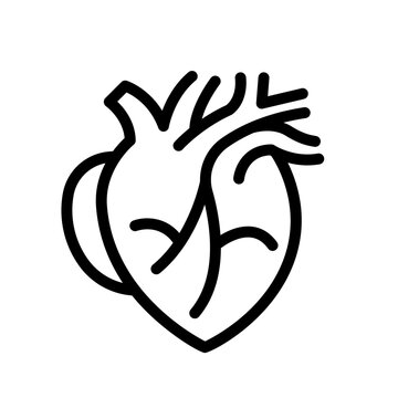 heart organ line icon illustration vector graphic