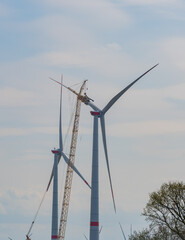 Construction of a wind turbine with a yellow crawler crane - 614966196