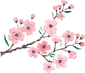 Free hand Sakura flower vector set, Beautiful line art Peach blossom isolate on white background.Cherry blossom illustration set.Element for weding card or printing on backdrop. 