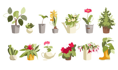 Set of house plants in funny pots. Home gardening vector illustration