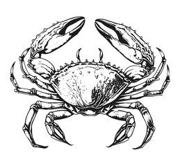 Crab Isolated Drawing. Sea Animal illustration. Seafood. Logo.
