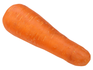Carrot