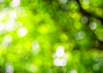 Obraz premium Colorful bokeh: a mesmerizing blend of vibrant, blurred lights, creating a dreamy, whimsical atmosphere that enchants the senses