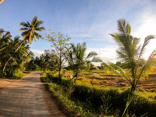 Obraz premium landscape