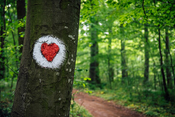 A red heart painted on the trunk of a tree is the designation of a trail, Hike mark, hiking signs...